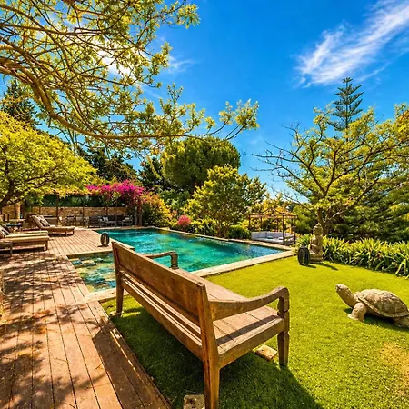 Luxury Villa, Garden, And Infinity Pool Willa *