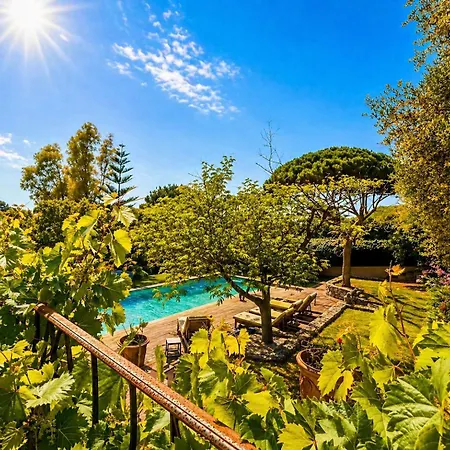Luxury Villa, Garden, And Infinity Pool Willa